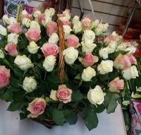Купить красивый букет спб цветочная база.